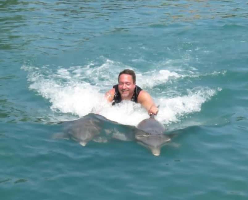 Dolphin Swim Adventure - A private ride makes the $300 price easier to judge
