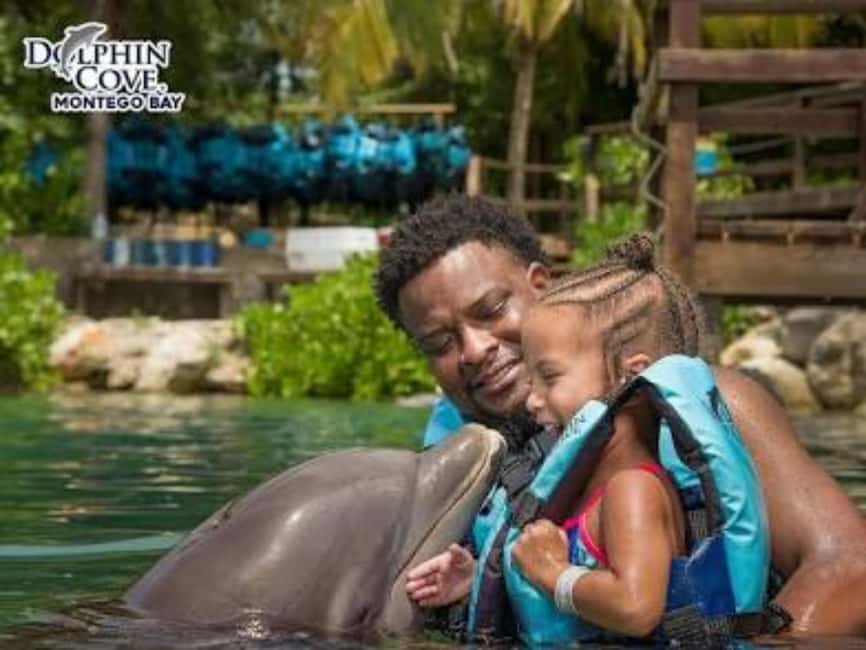 Dolphin Swim Adventure - The dolphin interactions, from handshakes to belly rides
