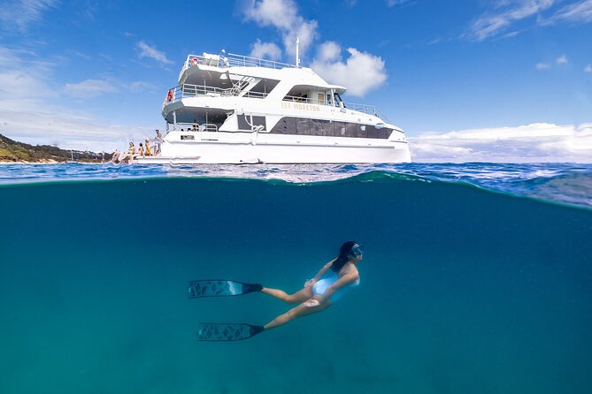 Dolphin & Tangalooma Wrecks Snorkel Cruise & Lunch - Brisbane - The day at a glance