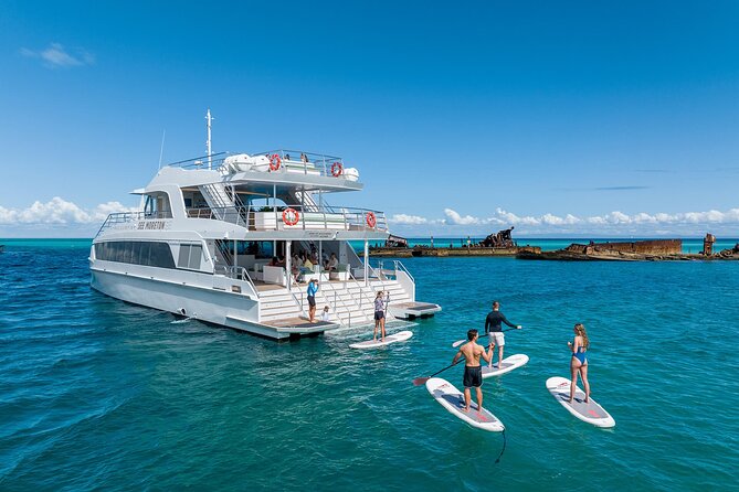 Dolphin & Tangalooma Wrecks Snorkel Cruise & Lunch - Gold Coast - Key points to know before booking