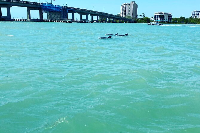 Dolphin Tiki Cruise around Fort Myers Beach - Big Carlos Pass and the dolphin search