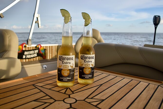 Dolphin Tiki Cruise around Fort Myers Beach - The return ride and what you may see