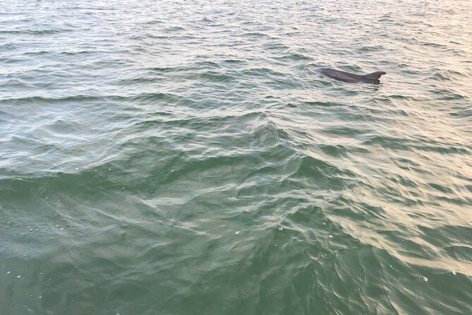 Dolphin Tiki Cruise around Fort Myers Beach - Who will enjoy this cruise most?