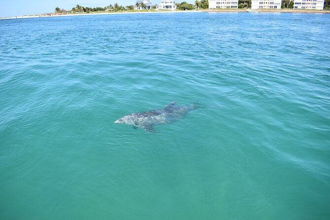 Dolphin Tiki Cruise around Fort Myers Beach - Timing, weather, and a few useful tips