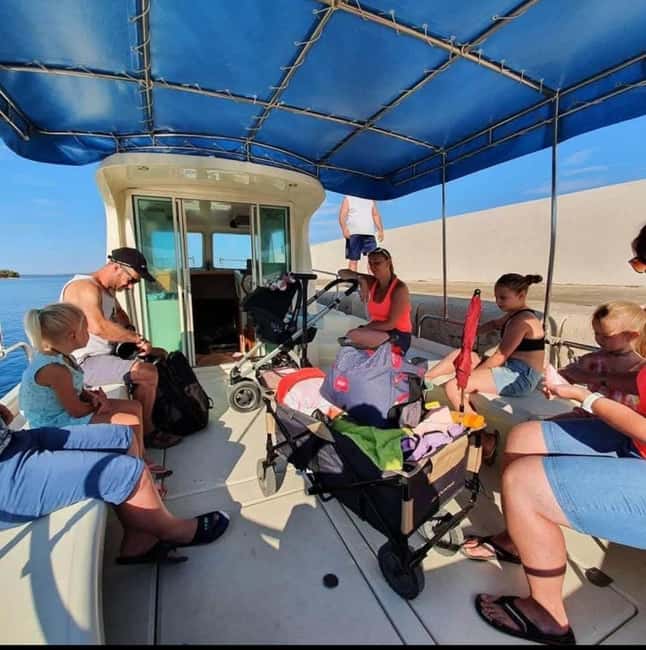 Dolphin tour 2 hours - Waiting for bottlenose dolphins in open water