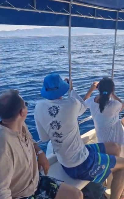 Dolphin tour 2 hours - What happens if the dolphins take their time