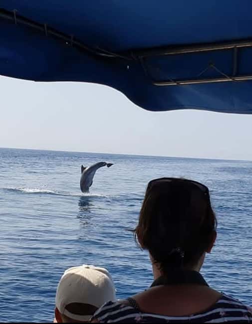 Dolphin tour 2 hours - The speedboat ride toward Vir and Molat