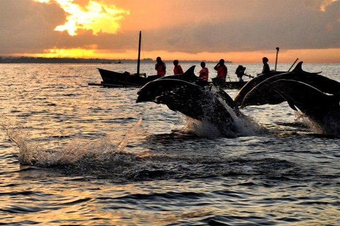 Dolphin Tour and Sunrise Watching in Lovina Beach - All Inclusive - The 3 a.m. road journey from southern Bali