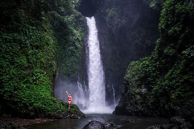 Dolphin Tour and Sunrise Watching in Lovina Beach - All Inclusive - Wanagiri Hidden Hills and the Lake Buyan swing