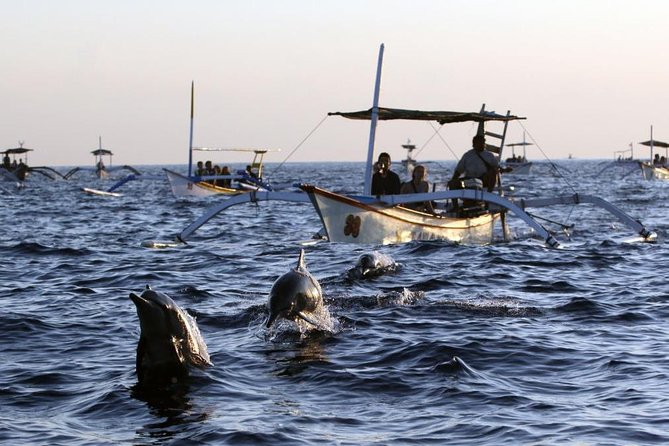 Dolphin Tour and Sunrise Watching in Lovina Beach - All Inclusive - What happens on the Lovina dolphin boat
