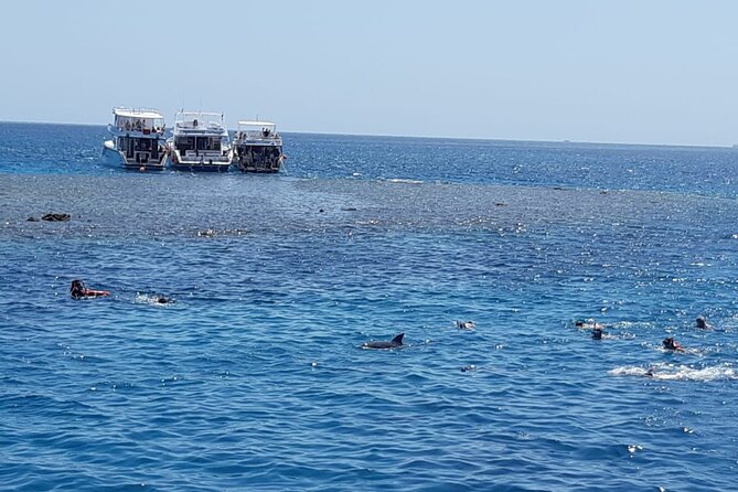 Dolphin Tour Banana Boat from Soma /Sahl Hasheesh/makadi/Safaga - Banana boats and sofa boats depend on the weather