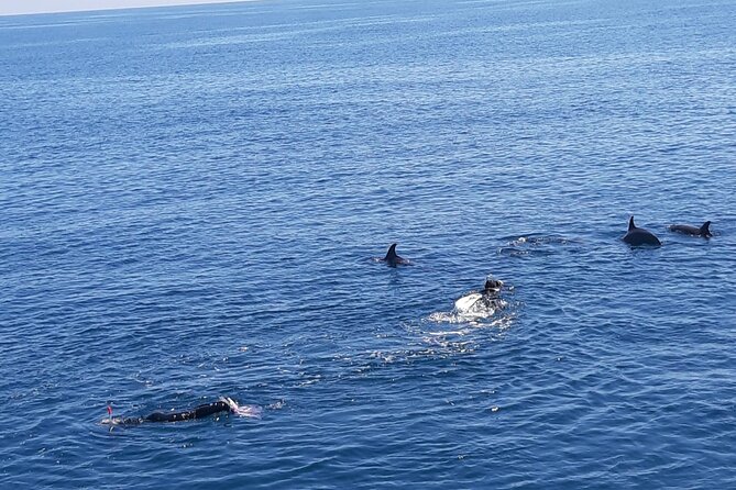 Dolphin tour & banana boat fun with snorkeling from Hurghada - What the $20.94 price really covers