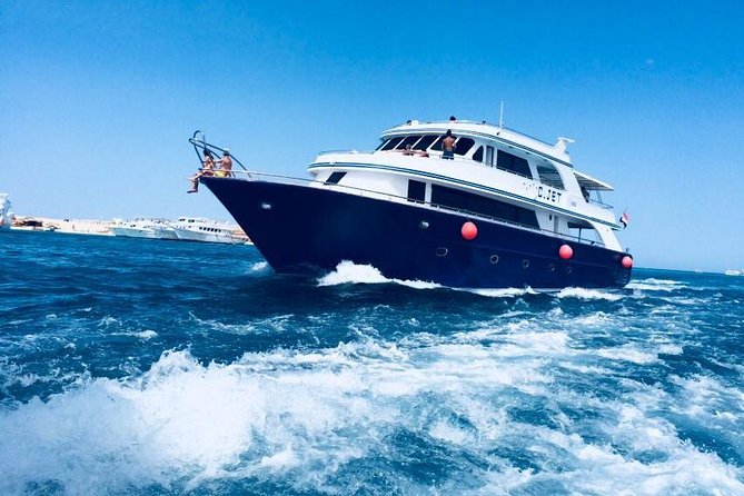 Dolphin Tour in Hurghada - The first search for dolphins