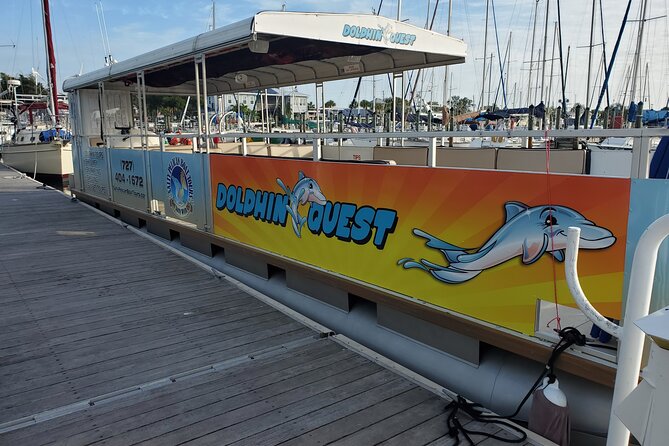 Dolphin Tour in St. Pete Beach - Who will enjoy this St. Pete boat trip?