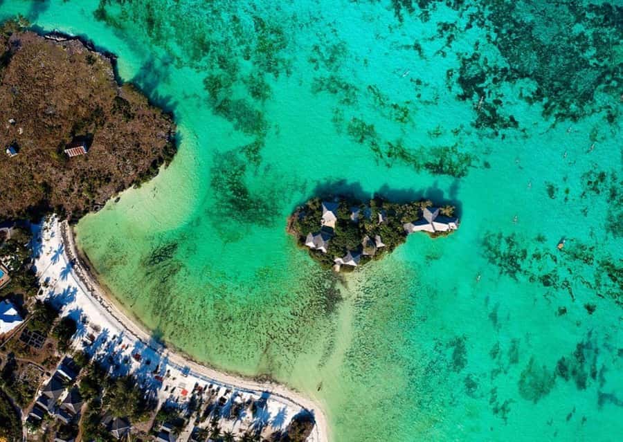 Dolphin Tour, Jozani Forest, Prison Island, Island Pongwe - Why the private format affects the value
