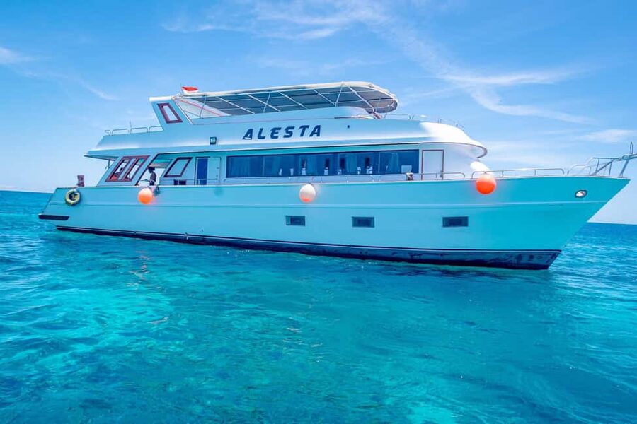 Dolphin Tour with Red Sea Fun. The Best in Hurghada - Setting out from Hurghada at 8:30