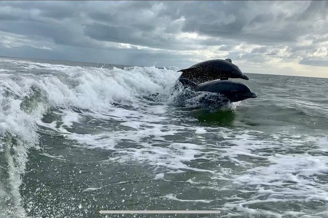 Dolphin Tours - Fort Myers Beach / Naples - What the two-hour route feels like