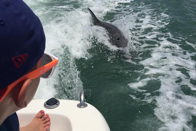 Dolphin Tours - Fort Myers Beach / Naples - Family value and group size