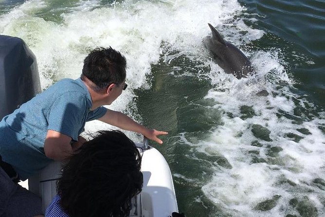 Dolphin Tours - Fort Myers Beach / Naples - Choosing the best departure time