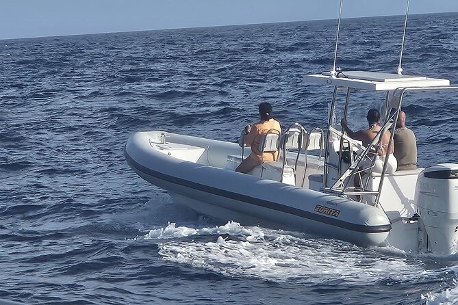 Dolphin Tours in Fuerteventura and snorkeling on the coast - Looking for dolphins, flying fish, and whales