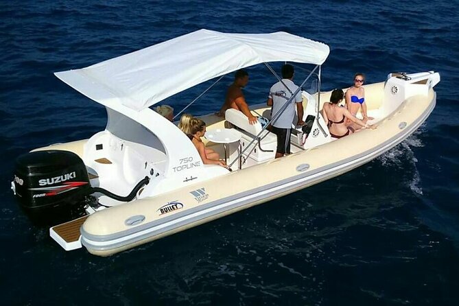 Dolphin trip with private speedboat and snorkeling - Drinks, fruit, and the small comforts