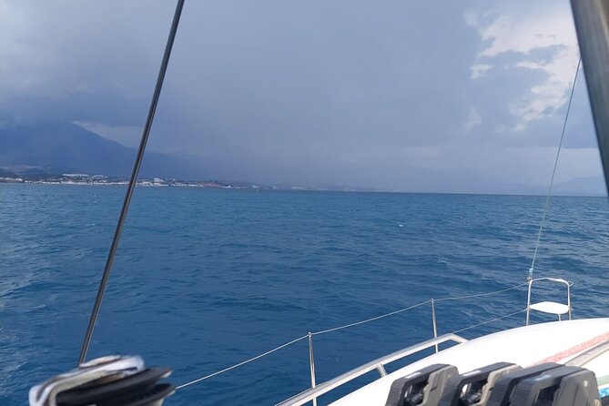 Dolphin trips on a catamaran - Sailing or motor power: know what you are buying