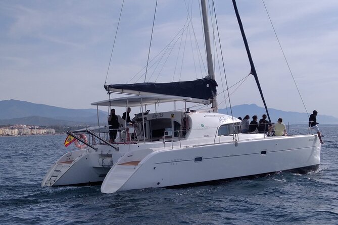 Dolphin trips on a catamaran - Weather, cancellations, and changing your plans