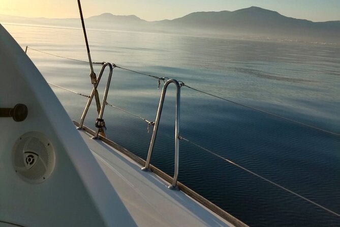 Dolphin trips on a catamaran - What the catamaran ride feels like