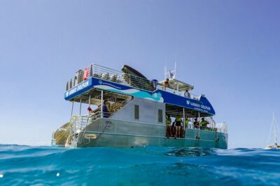 Dolphin Watch Cruise with Waterslide & Snorkeling on Oahu