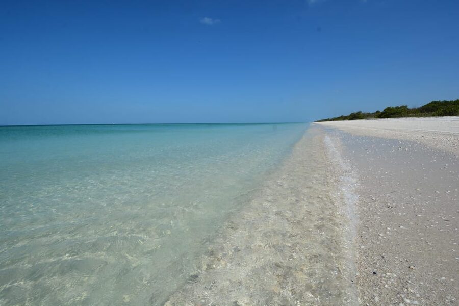 Dolphin Watch/Eco Cruise - Key points to know before you go
