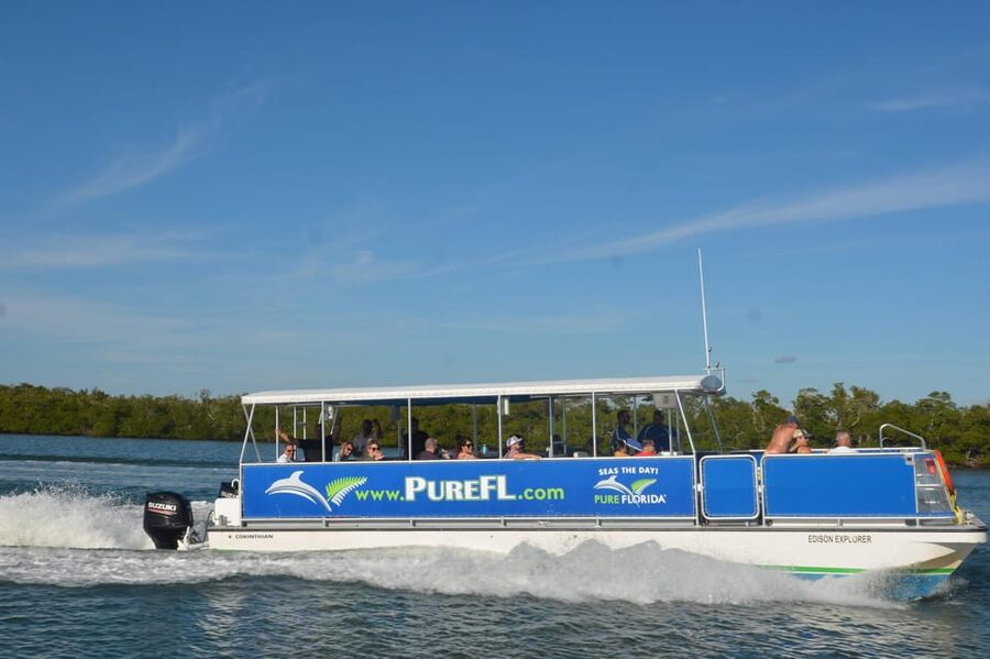 Dolphin Watch/Eco Cruise - Cruising through Naples Bay and its mangroves