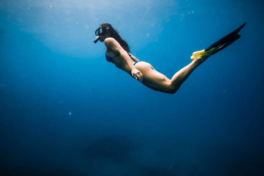 Dolphin Watch Snorkel and BBQ in Kona, Big Island - Key Points Before You Book