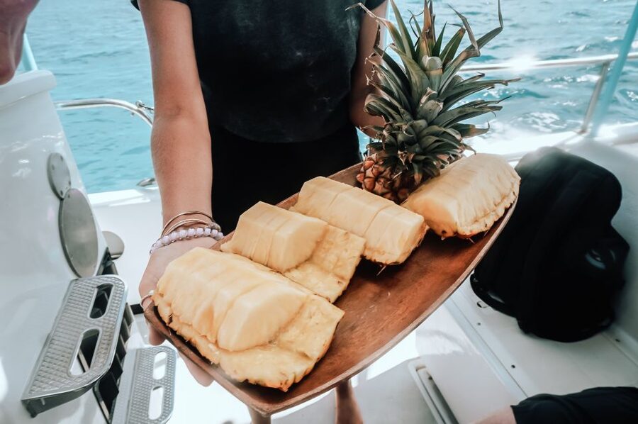Dolphin Watch Snorkel and BBQ in Kona, Big Island - The Ride Along Kona’s Open Water