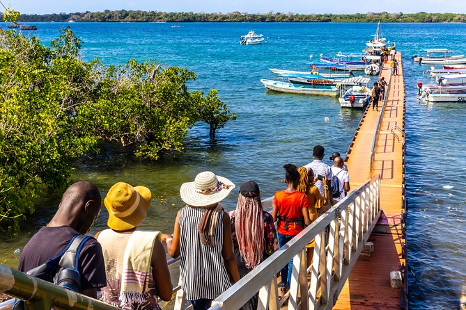 Dolphin Watch & Snorkeling at Kisite Marine Park & Wasini Island - Snorkeling in Kisite Mpunguti Marine Park
