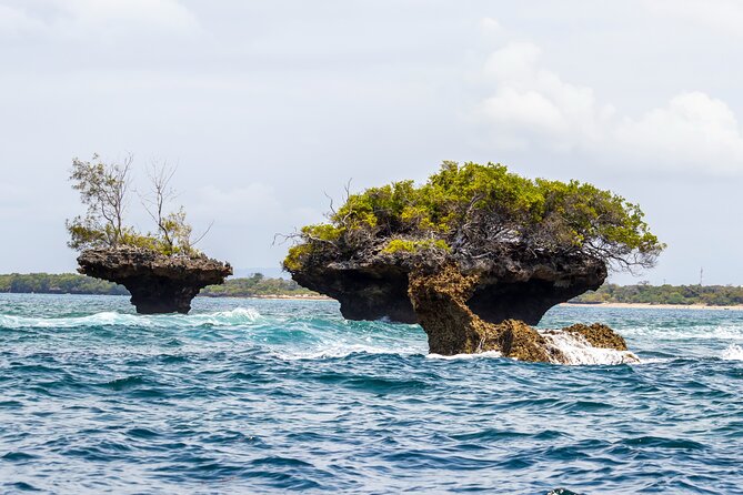 Dolphin Watch & Snorkeling at Kisite Marine Park & Wasini Island - The women’s group boardwalk and coral gardens