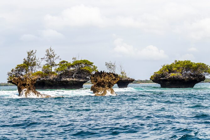 Dolphin Watch & Snorkeling at Kisite Marine Park & Wasini Island - Guide quality and group size