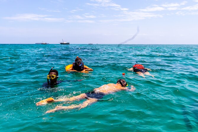 Dolphin Watch & Snorkeling at Kisite Marine Park & Wasini Island - Dhow cruise and dolphin watching