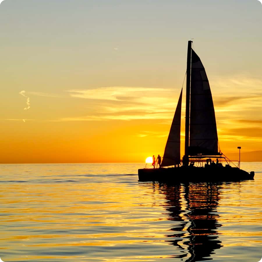 Dolphin Watch + Sunset Sail - Why the dolphin watch works best for sailing fans