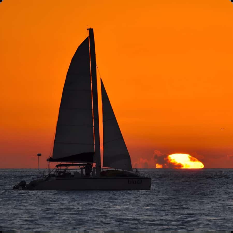 Dolphin Watch + Sunset Sail - Watching dolphins along the coastal Atlantic