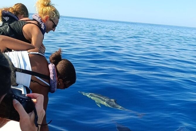 Dolphin Watching + 2 Islands Tour - From Faro - What the small boat changes