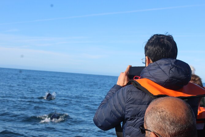 Dolphin Watching + 2 Islands Tour - From Faro - Cabo de Santa Maria and the meeting of the waters