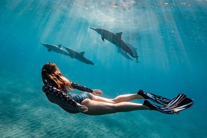 Dolphin watching 7 hours Boat Trip & Snorkelling from Hurghada - Key points at a glance