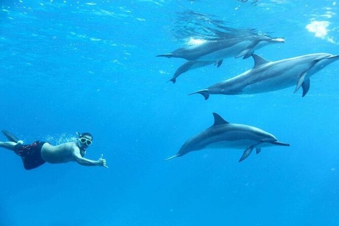 Dolphin watching 7 hours Boat Trip & Snorkelling from Hurghada - Two snorkeling stops over coral reefs