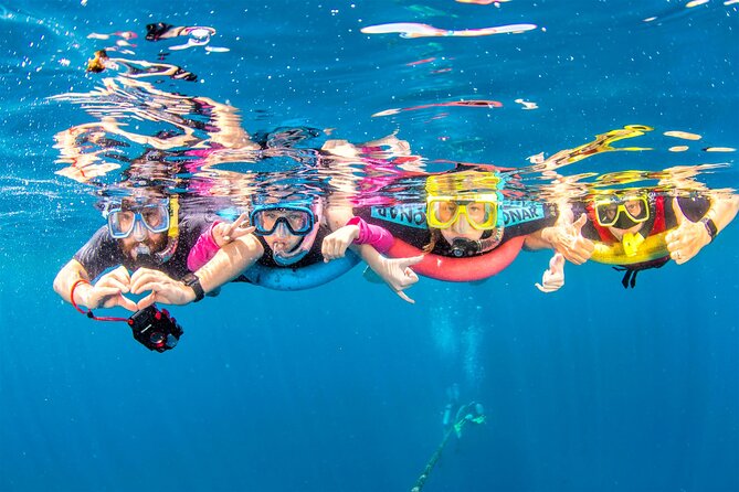 Dolphin watching 7 hours Boat Trip & Snorkelling from Hurghada - Who will get the most from this boat trip