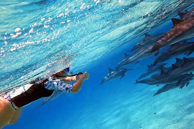 Dolphin watching 7 hours Boat Trip & Snorkelling from Hurghada - The boat ride and dolphin search