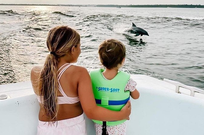 Dolphin Watching aboard the Cold Mil Fleet - Is the experience good value?