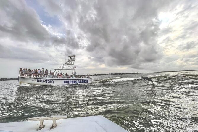 Dolphin Watching aboard the Cold Mil Fleet - A calm backbay cruise for roughly 75 minutes