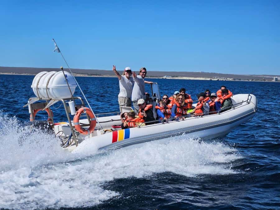 Dolphin Watching Adventure - Following the Punta Loma coast
