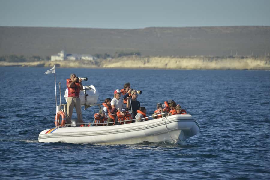 Dolphin Watching Adventure - A practical verdict on the dolphin adventure