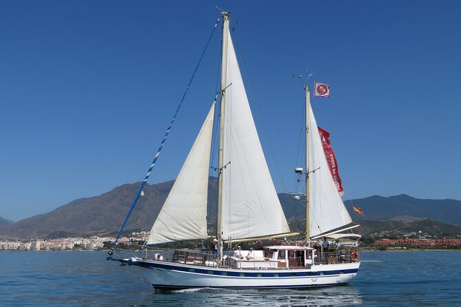 Dolphin Watching Adventure in Estepona Bay - Sailing Into Estepona Bay